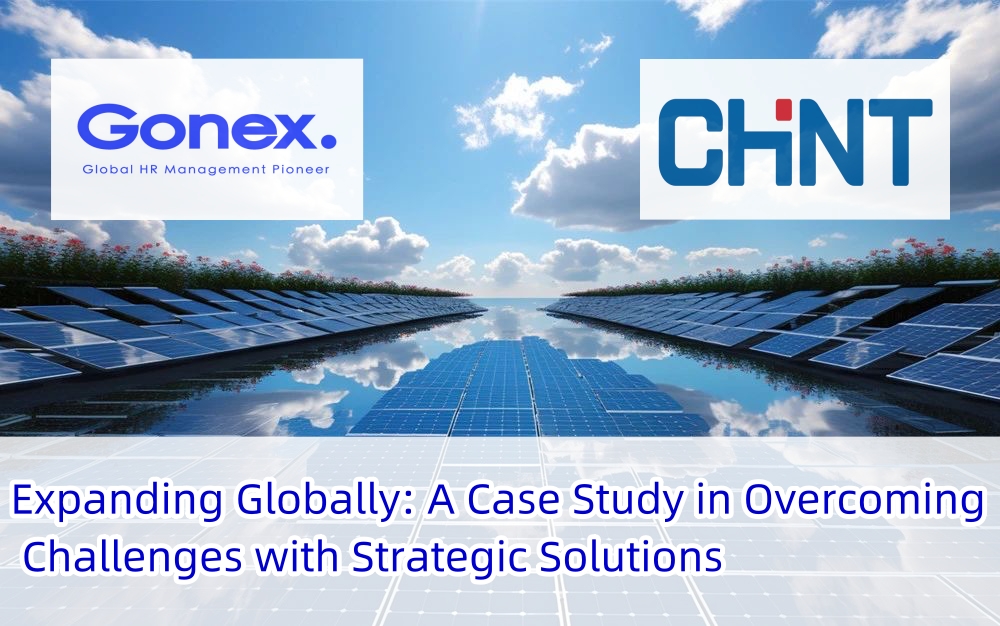 Expanding Globally: A Case Study in Overcoming Challenges with Strategic Solutions